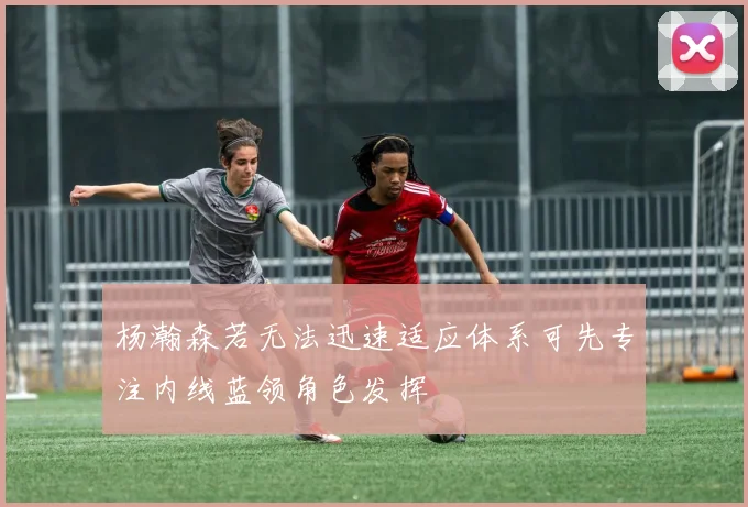 杨瀚森若无法迅速适应体系可先专注内线蓝领角色发挥