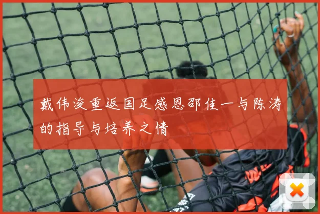 戴伟浚重返国足感恩邵佳一与陈涛的指导与培养之情